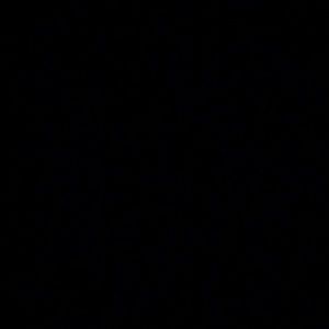 Meet your Posher, Baleigh